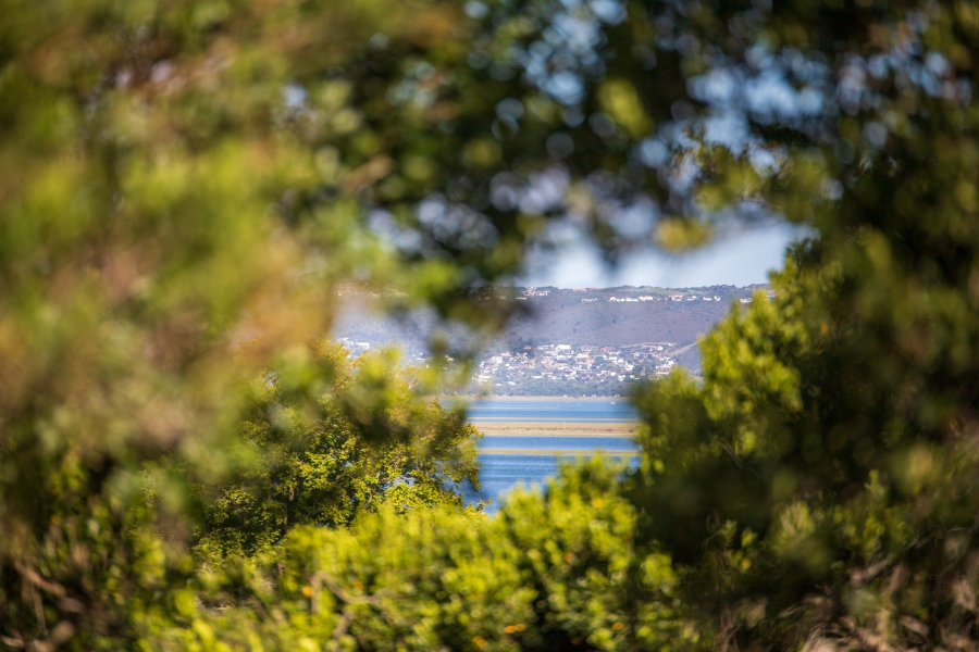 0 Bedroom Property for Sale in Belvidere Estate Western Cape